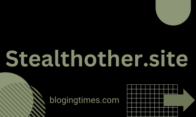 stealthother.site