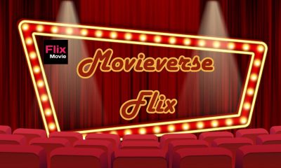 Movieverse Flix