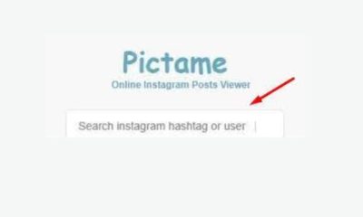 Pictame