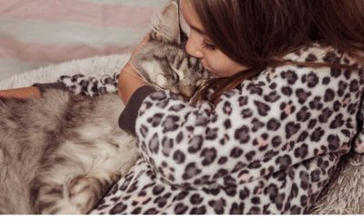cats pajamas