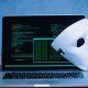 Anonymous Beta on Themebeta